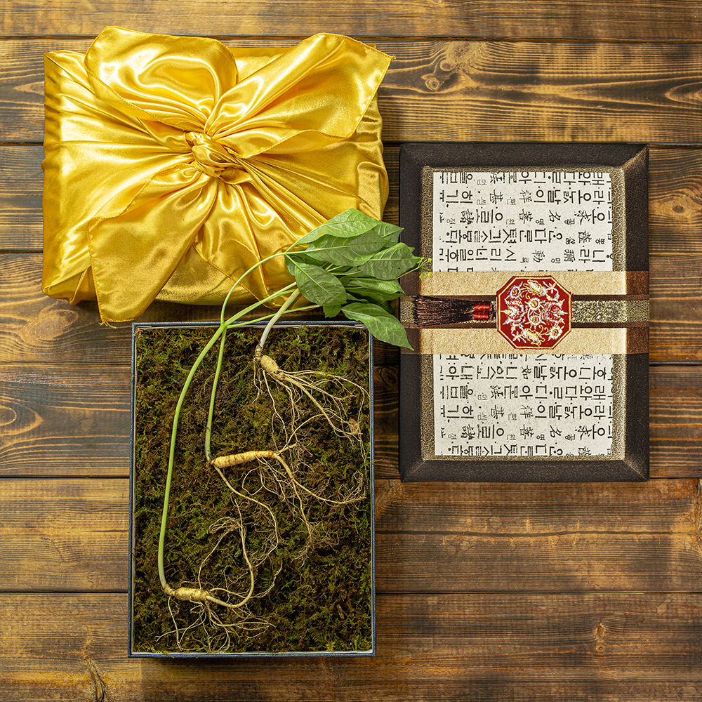 1670827275 thumbnail