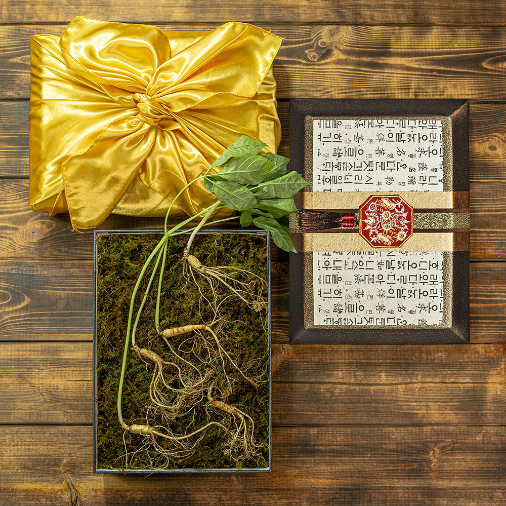 1670827276 thumbnail