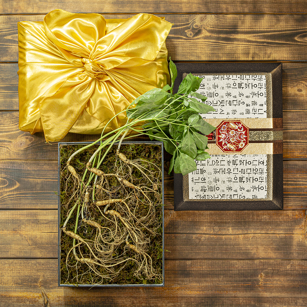 1670827280 thumbnail