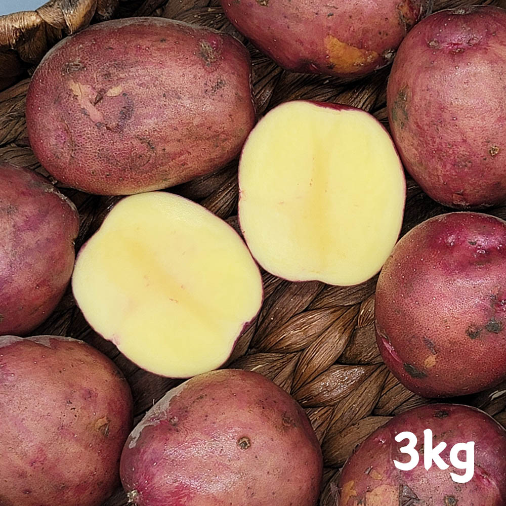 1671084587 thumbnail