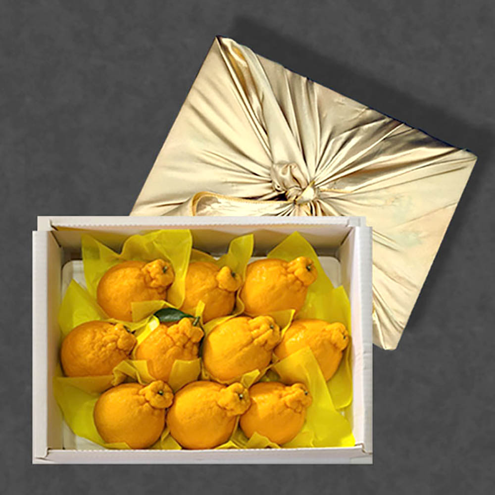 1671084592 thumbnail