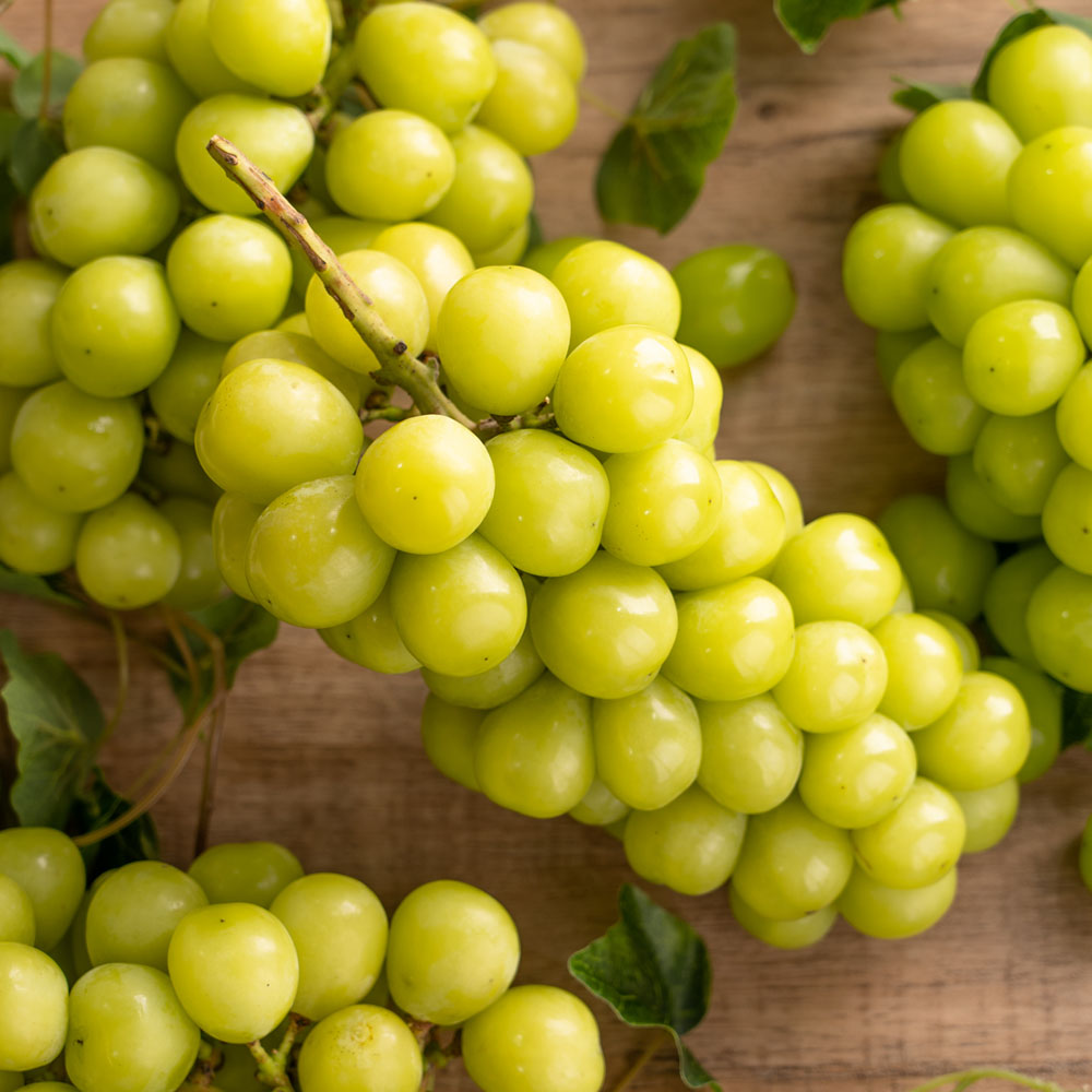 1671163850 thumbnail