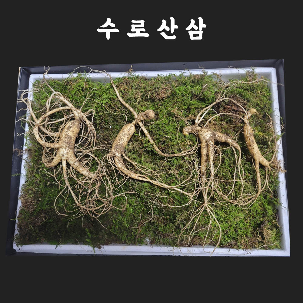 1671504419 thumbnail