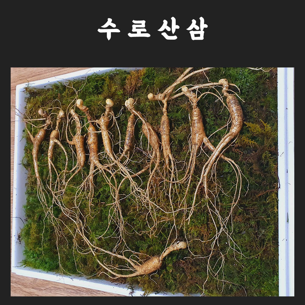 1671504420 thumbnail