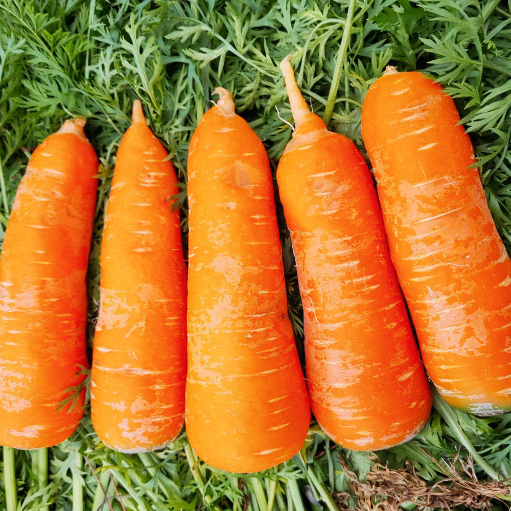 1671504437 thumbnail