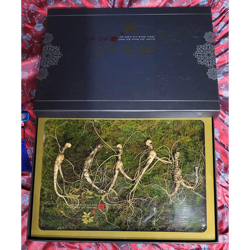 1671599111 thumbnail