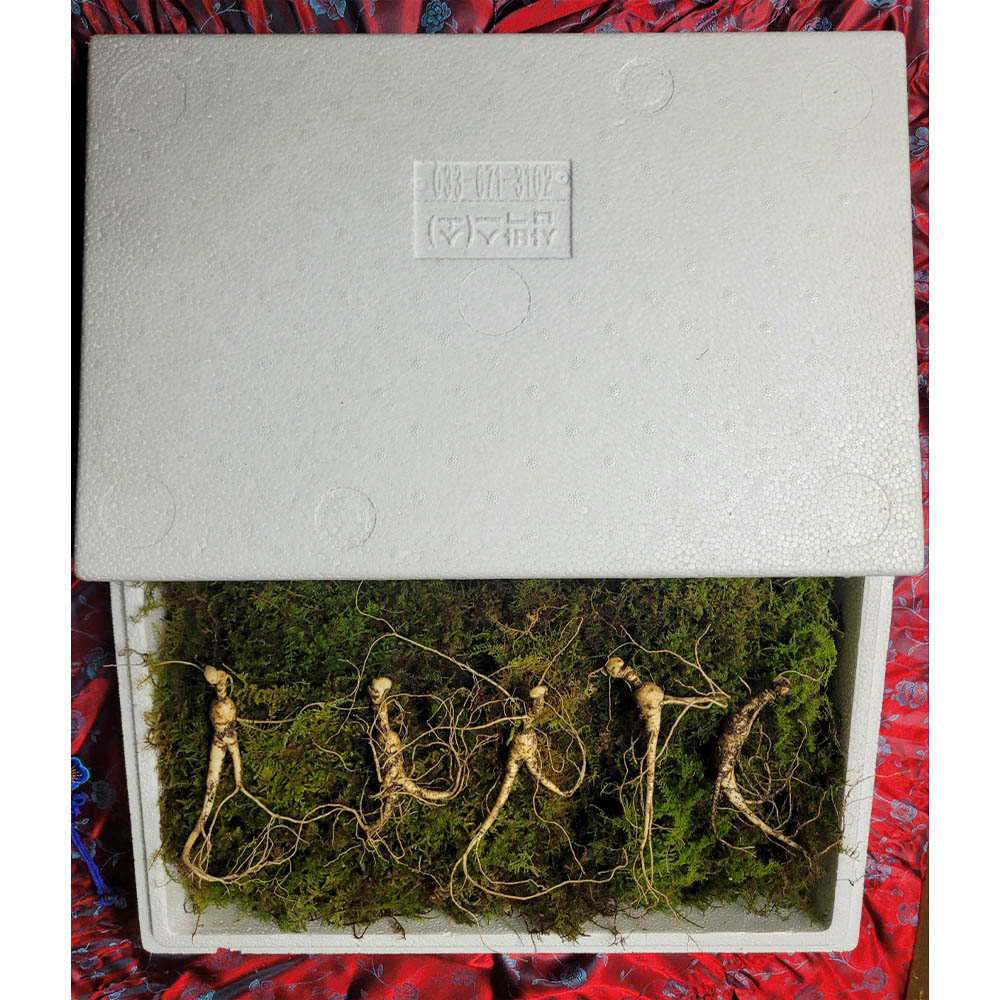 1671599112 thumbnail