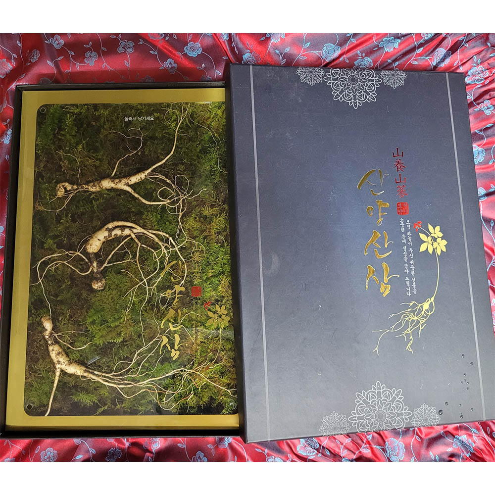 1671599113 thumbnail