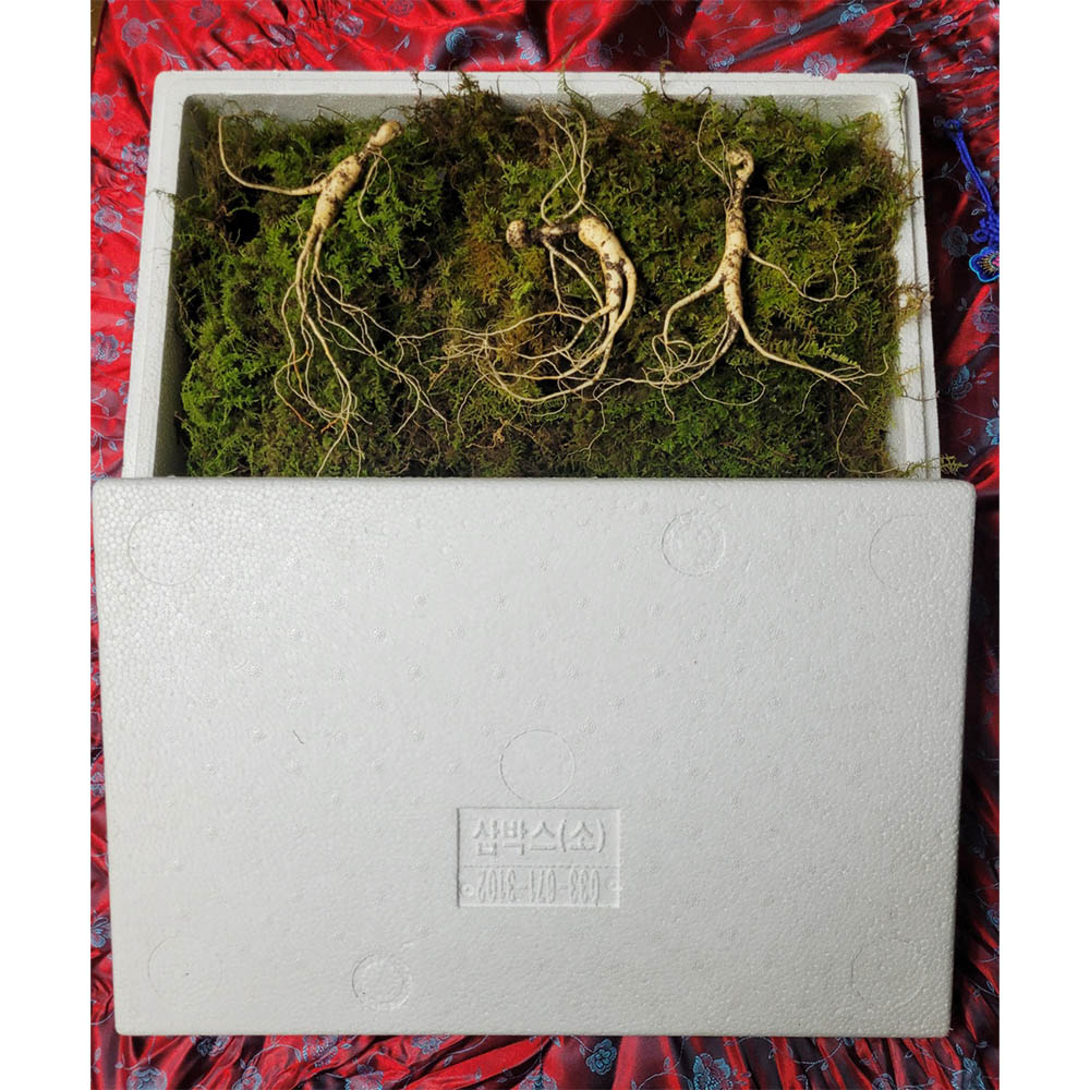 1671599114 thumbnail