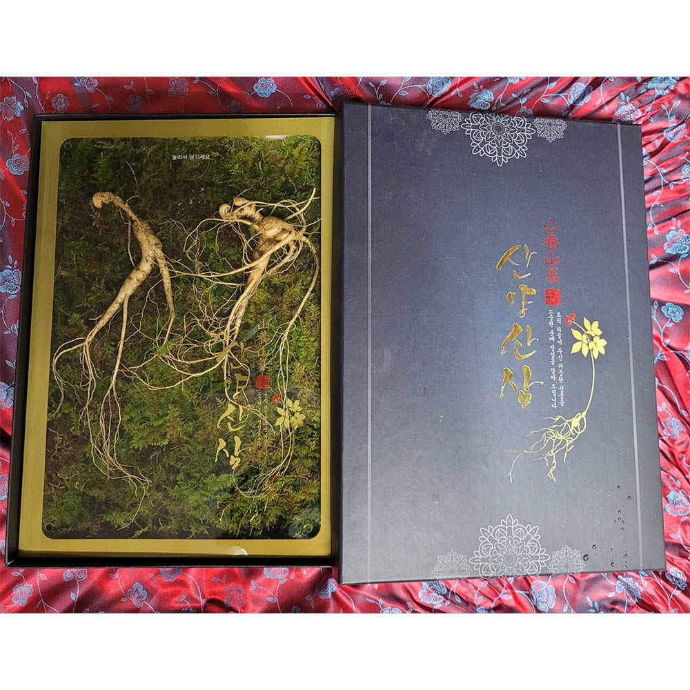 1671599115 thumbnail