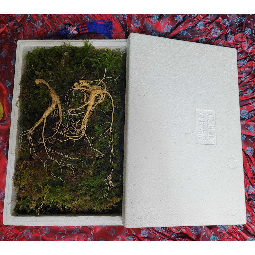 1671599116 thumbnail