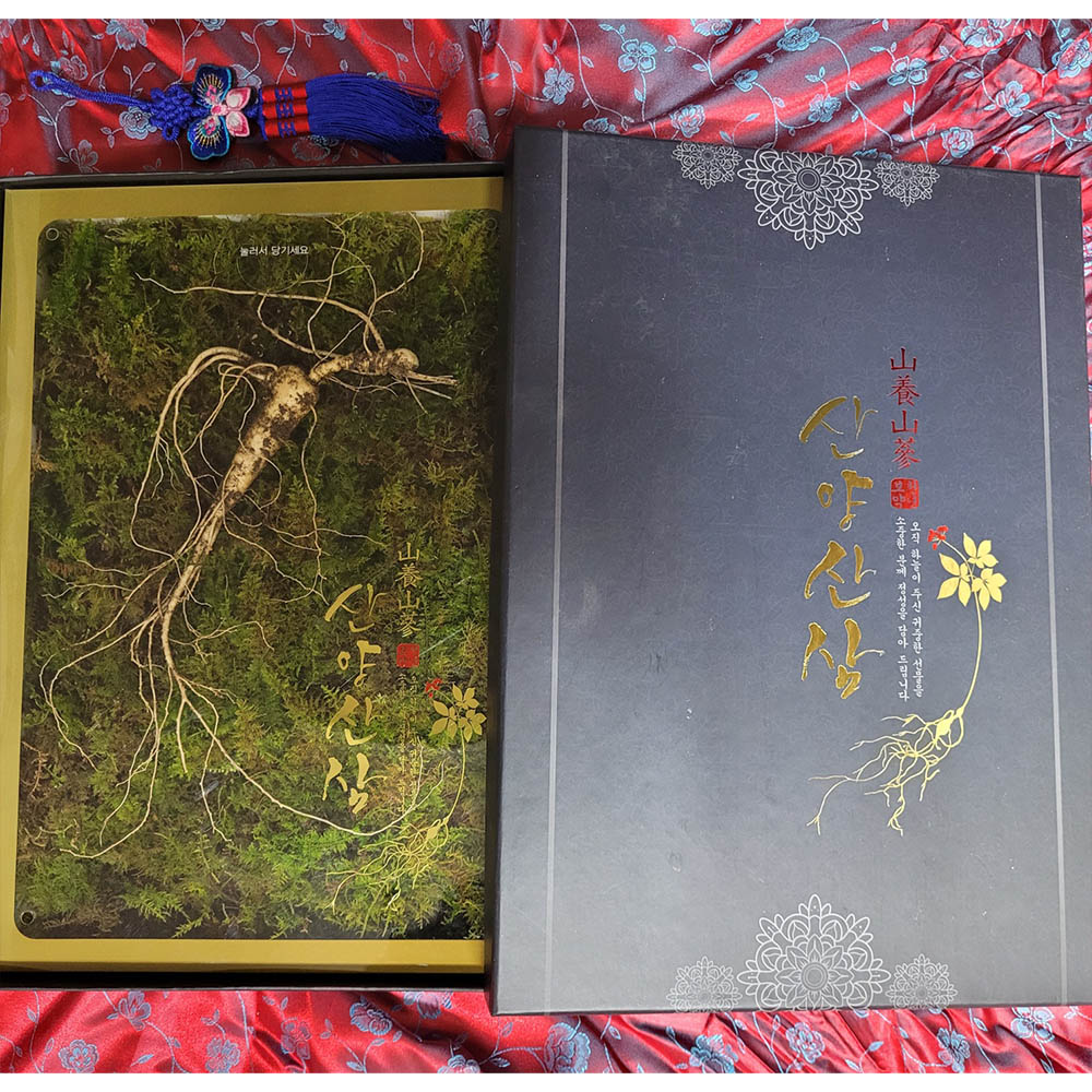 1671599117 thumbnail