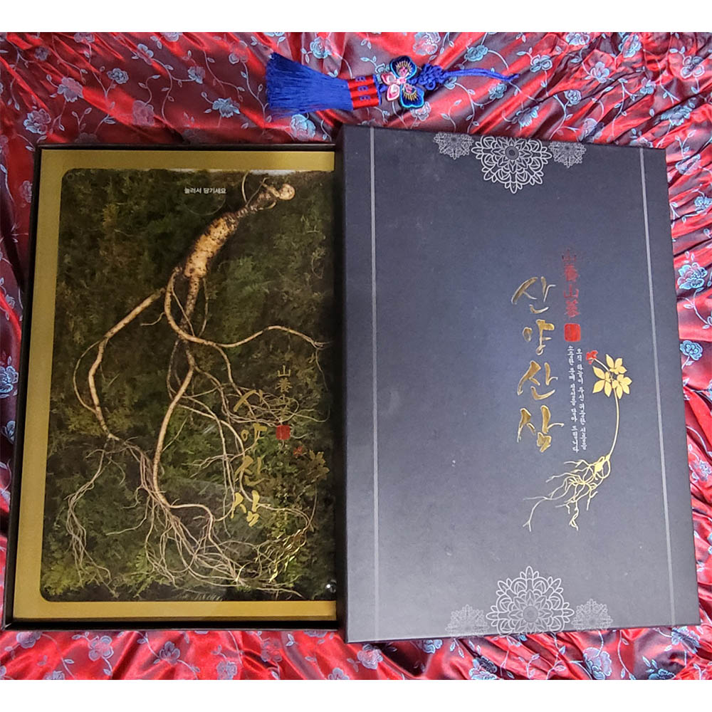 1671599119 thumbnail