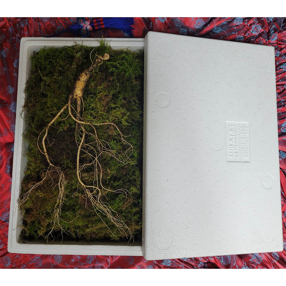 1671599120 thumbnail