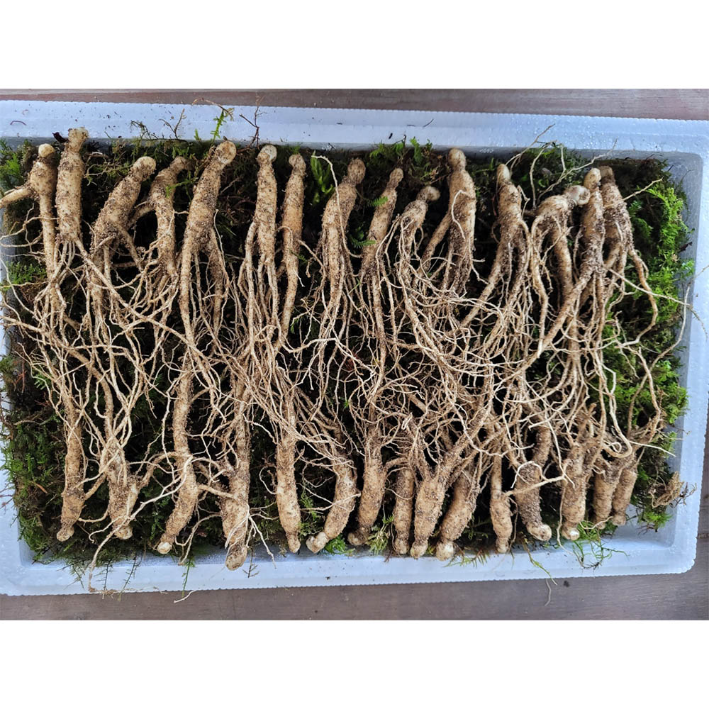 1671599121 thumbnail