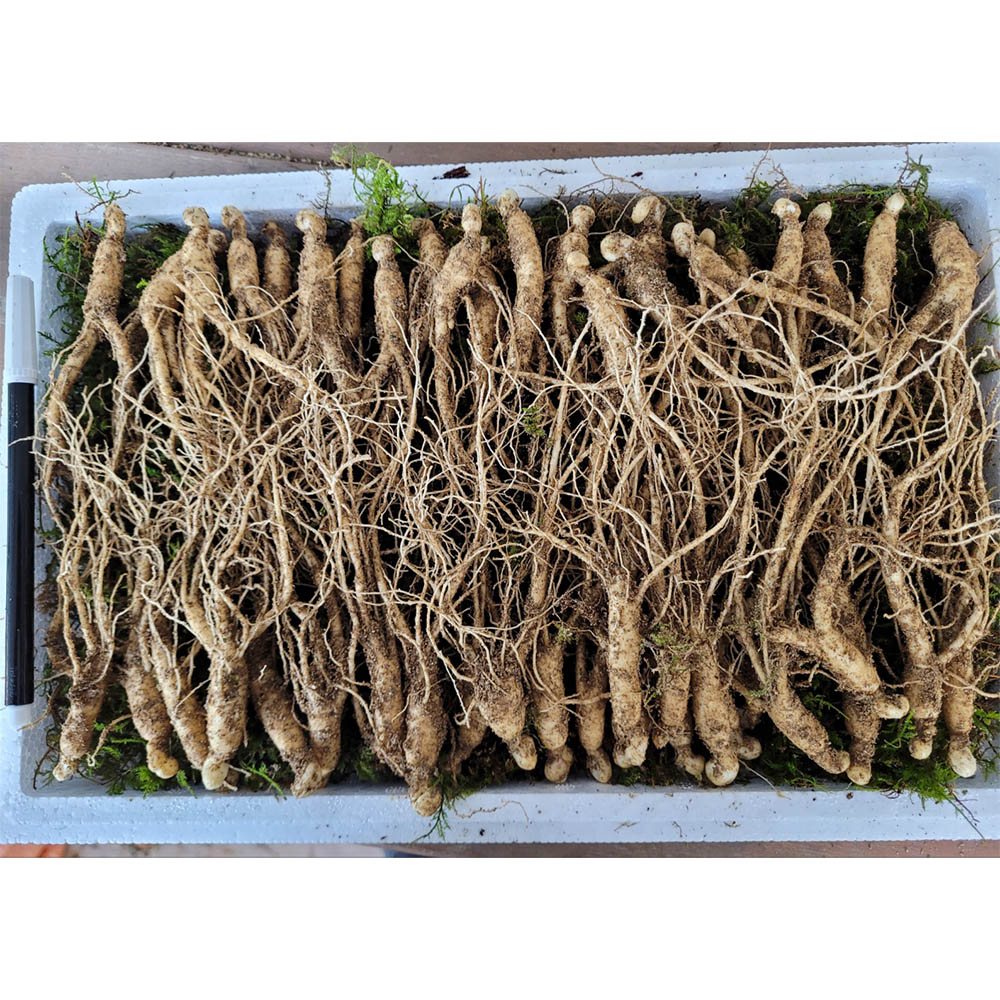 1671599122 thumbnail