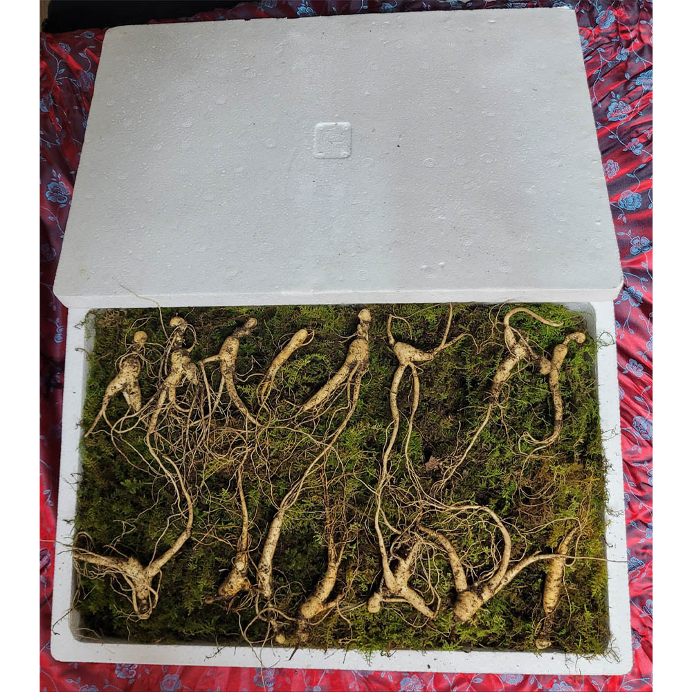 1671599123 thumbnail