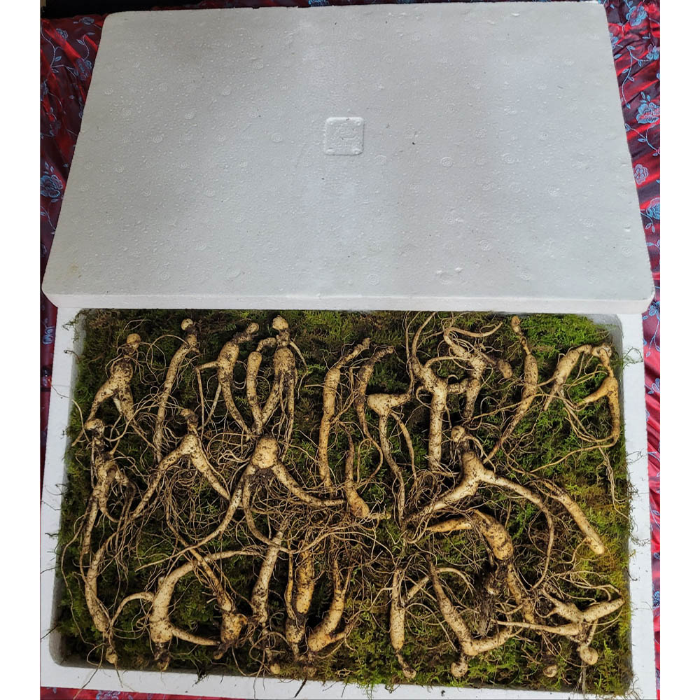 1671599124 thumbnail