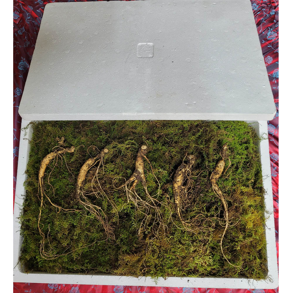 1671599125 thumbnail