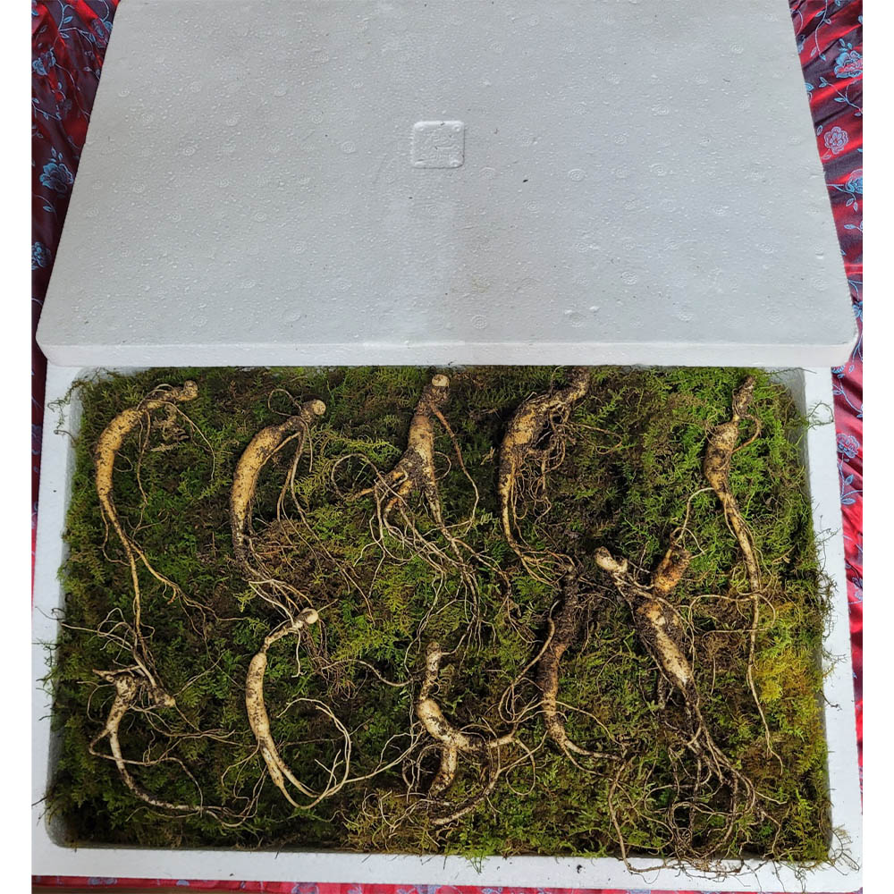 1671599126 thumbnail