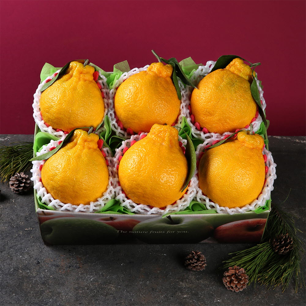 1671602165 thumbnail