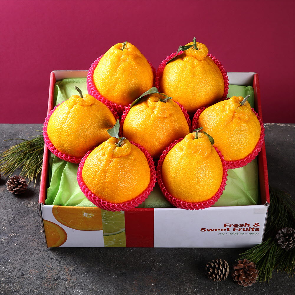 1671602185 thumbnail