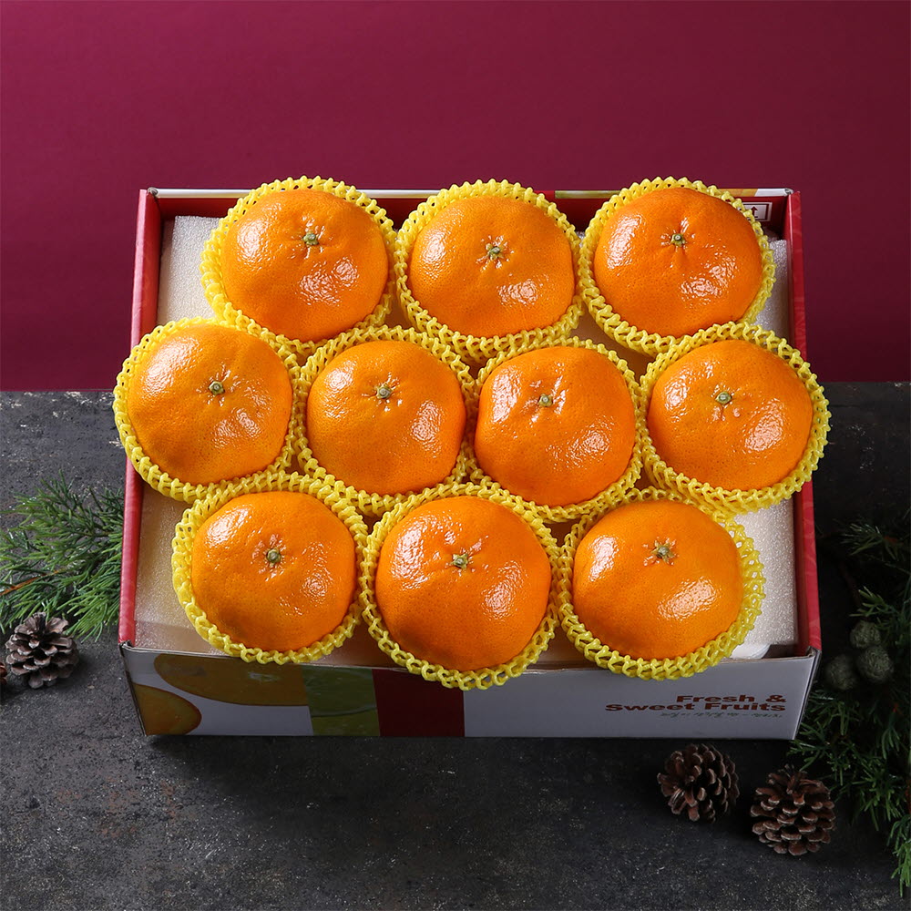 1671602187 thumbnail