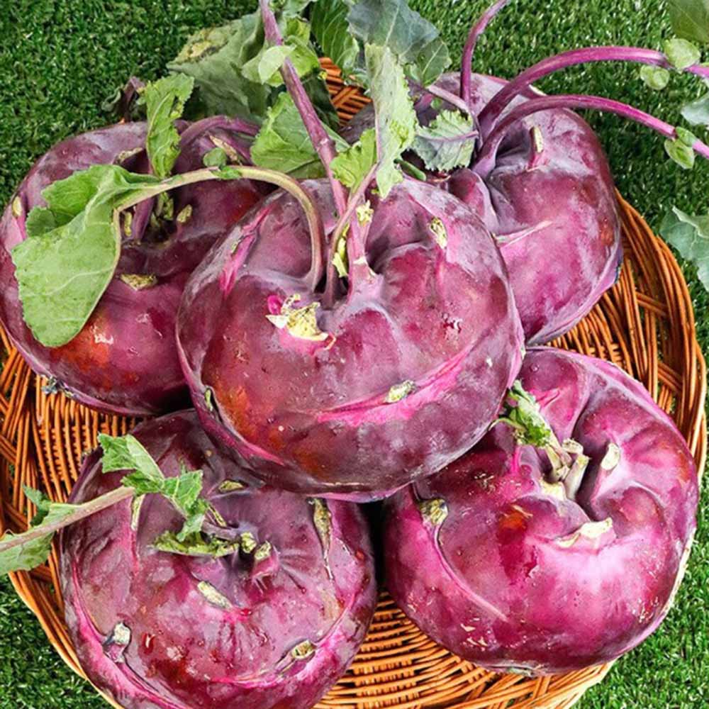 1671686877 thumbnail