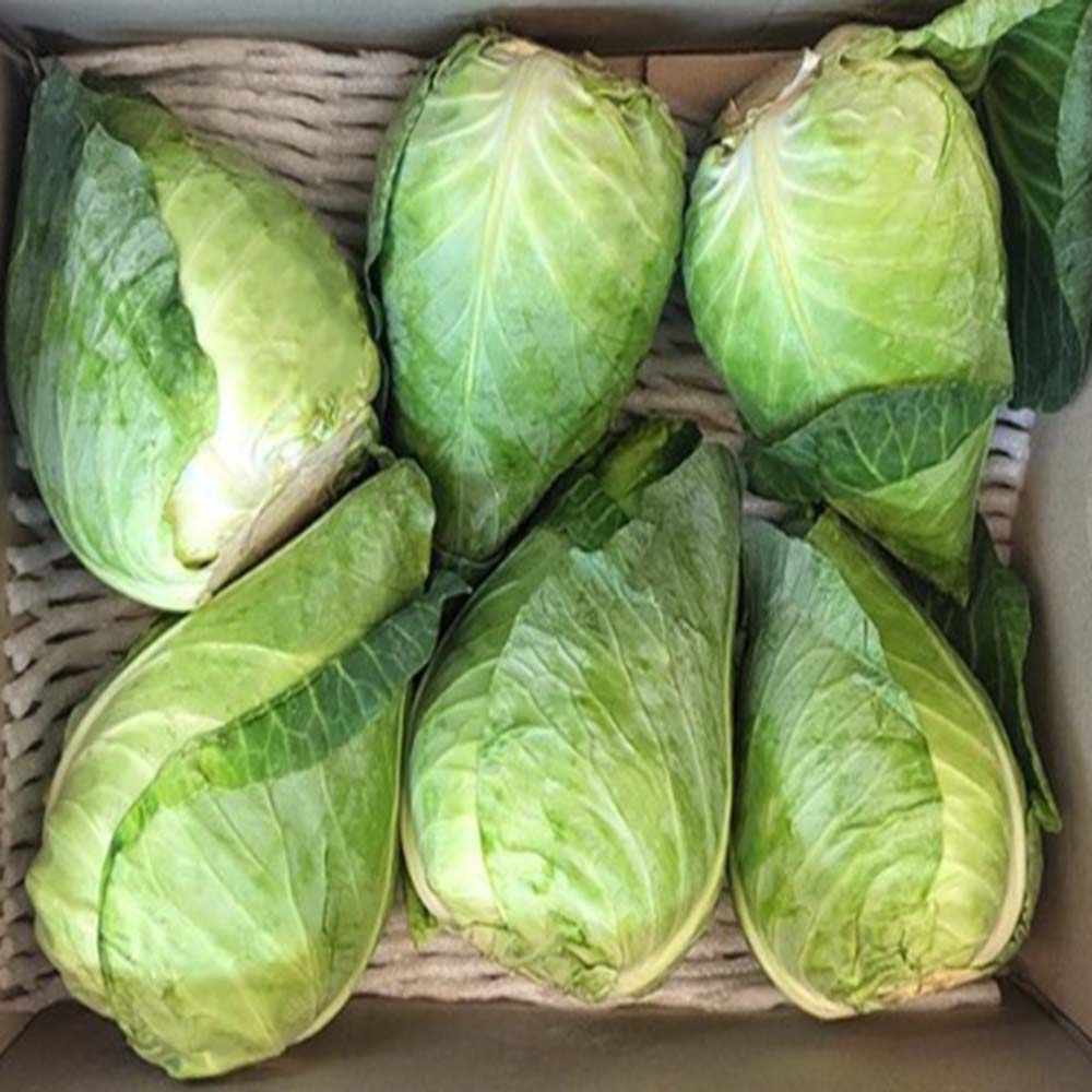 1671686878 thumbnail