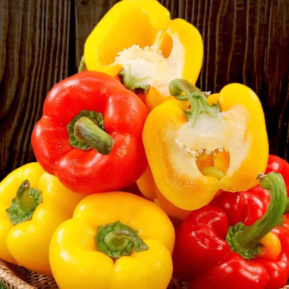 1671779617 thumbnail