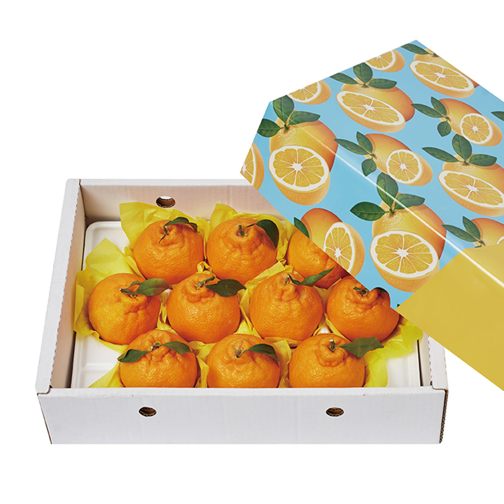 1672027552 thumbnail