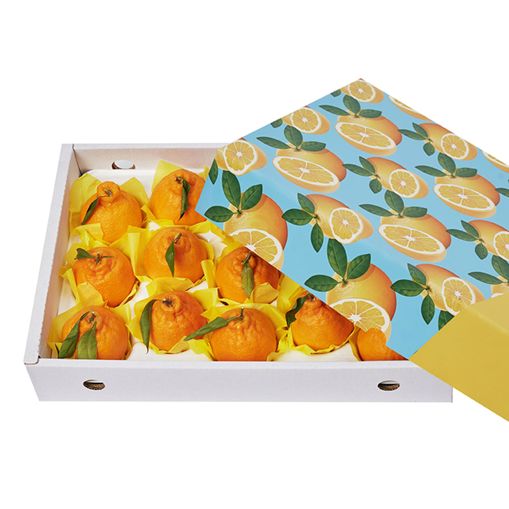 1672027554 thumbnail