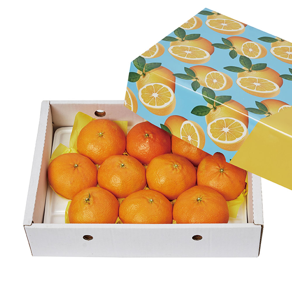 1672027556 thumbnail