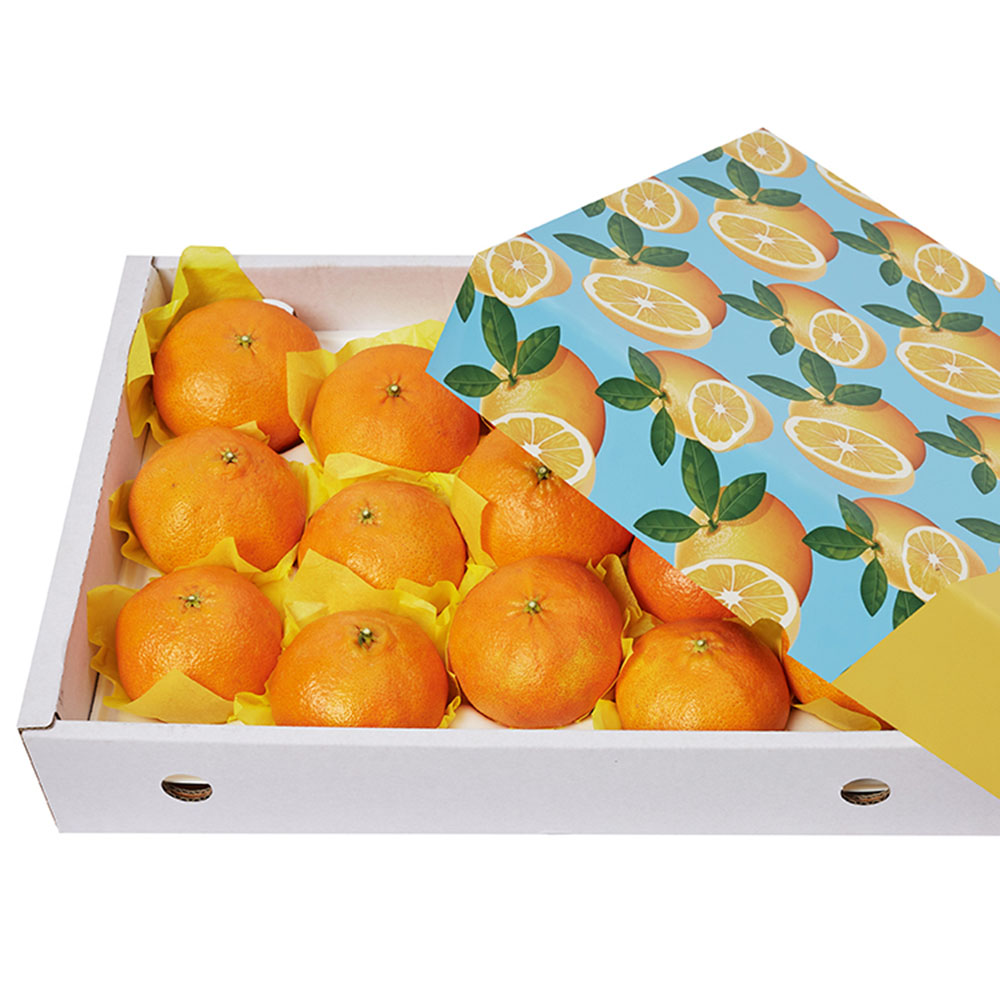 1672027557 thumbnail