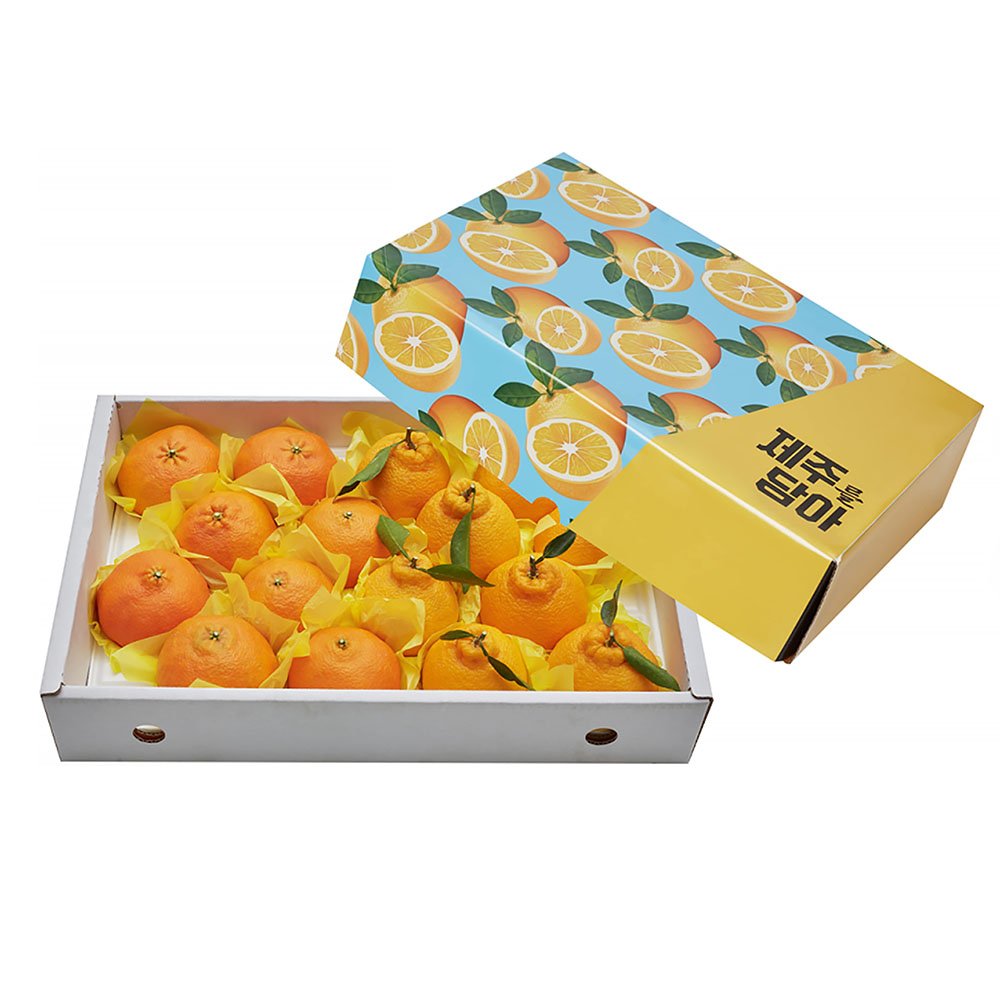 1672027559 thumbnail