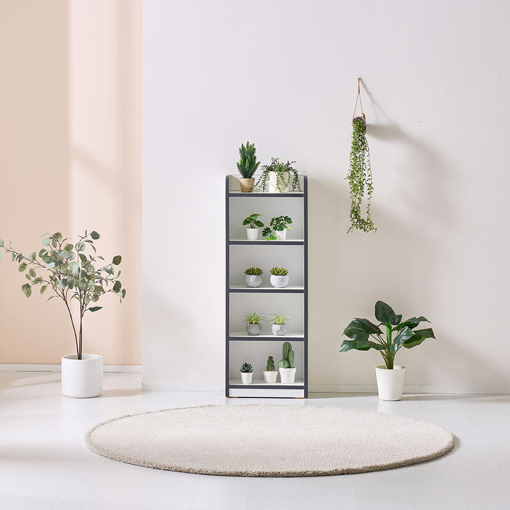 1672033085 thumbnail