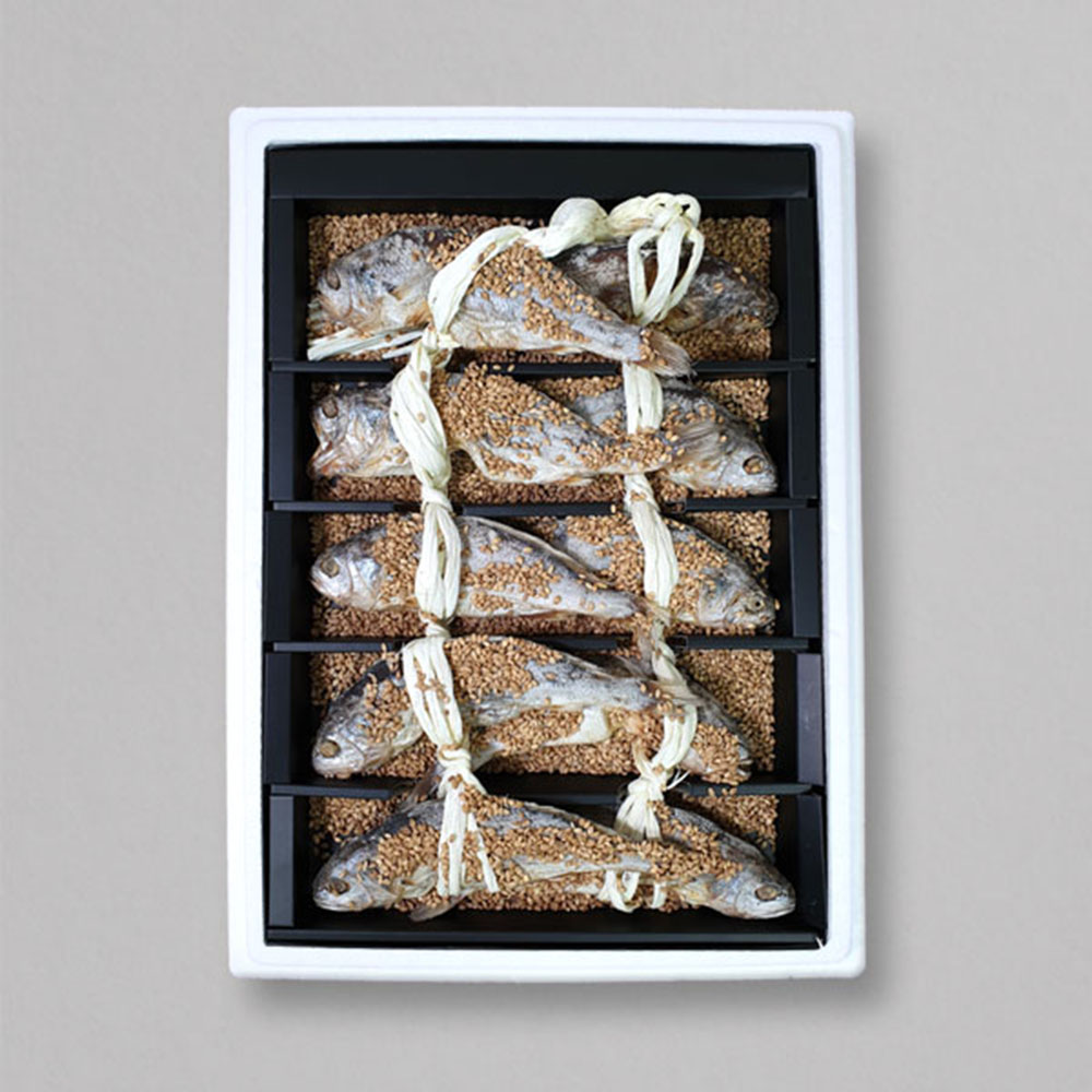 1672114046 thumbnail