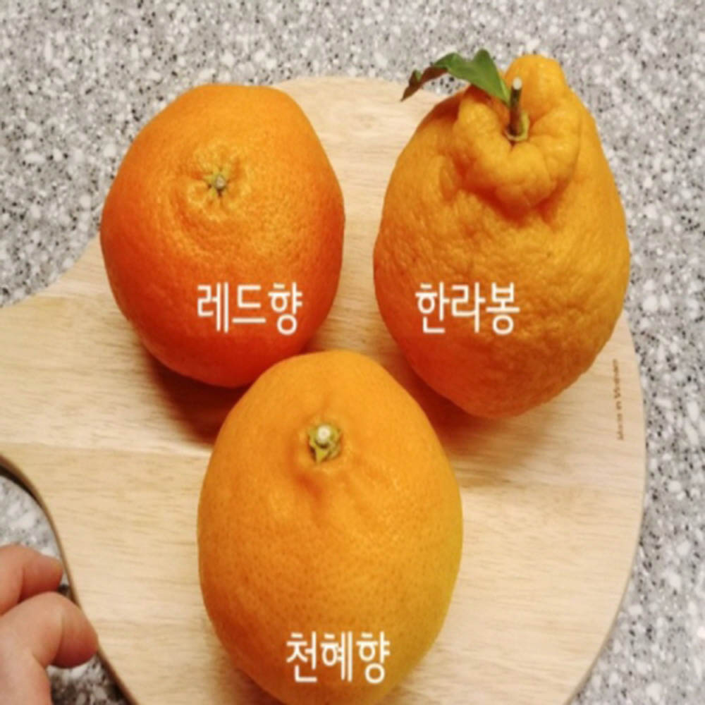 1672122589 thumbnail