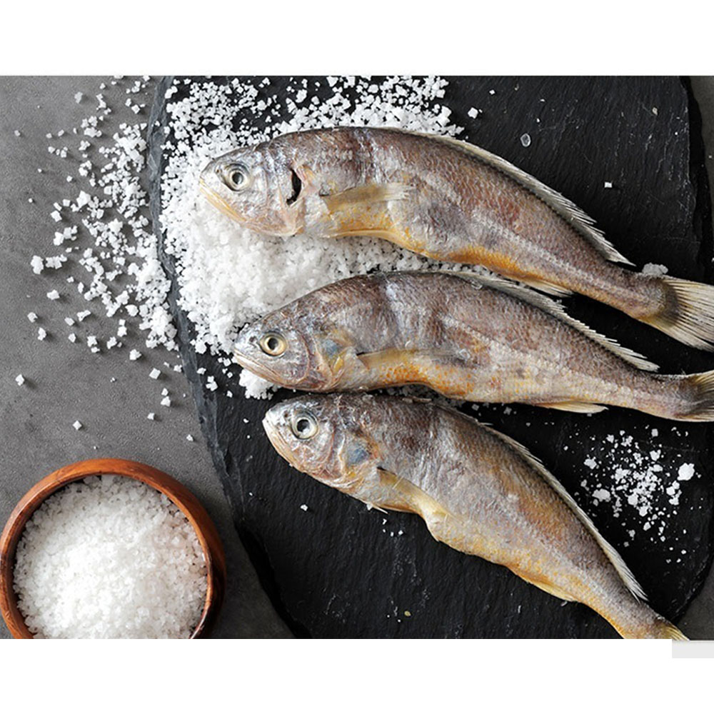 1672196041 thumbnail