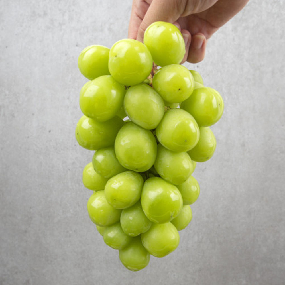 1672196054 thumbnail