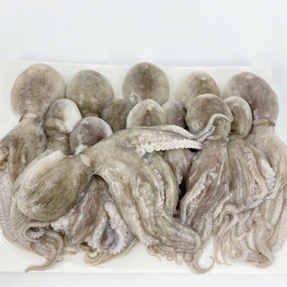 1672369067 thumbnail