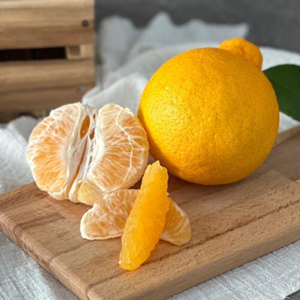 1672647644 thumbnail