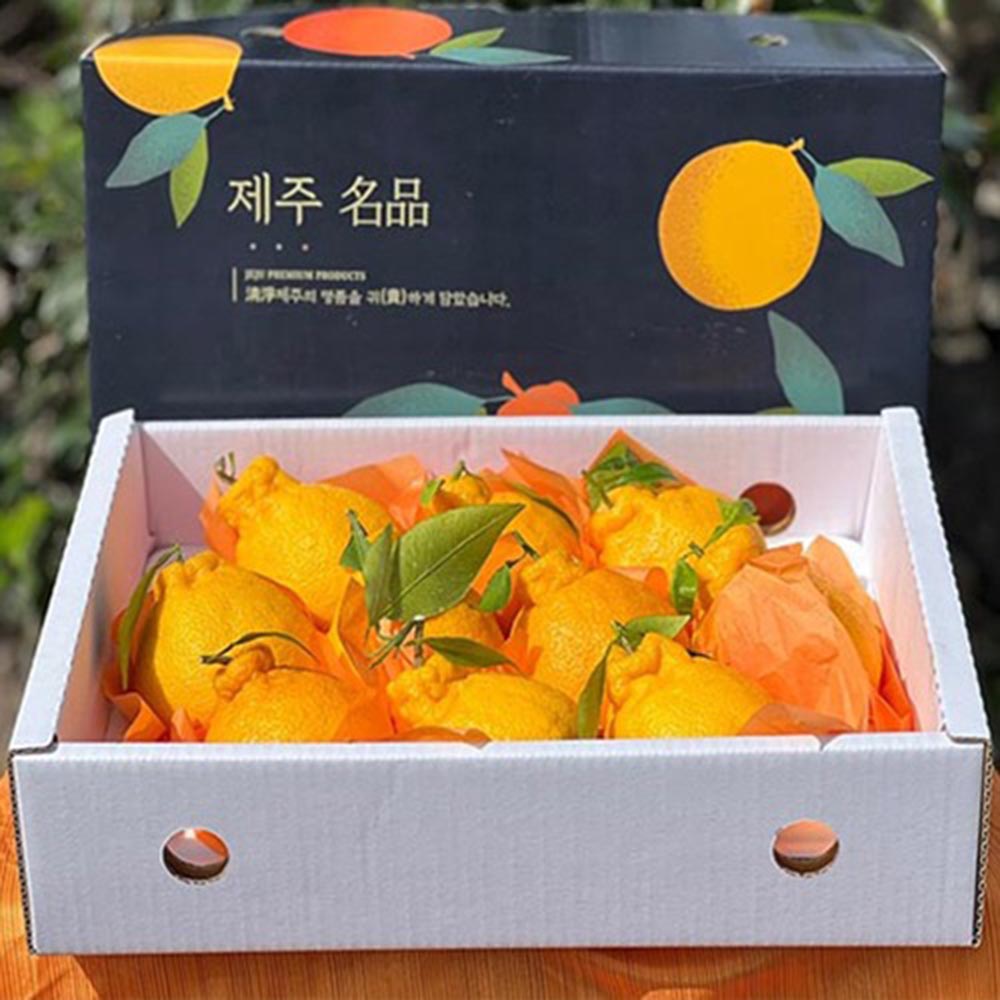 1672647645 thumbnail