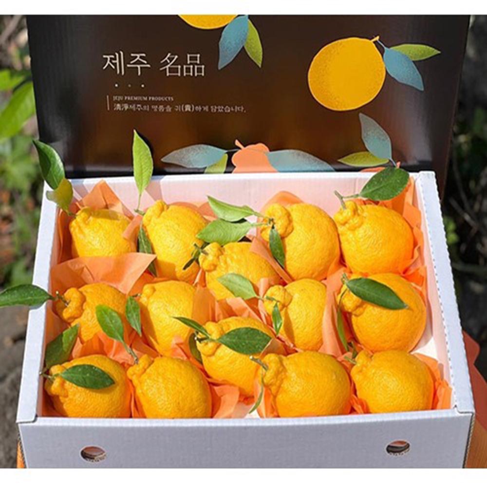 1672647646 thumbnail