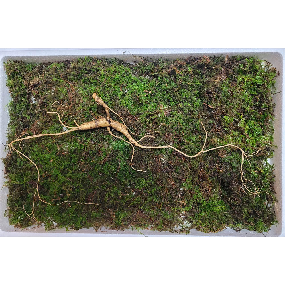 1672897303 thumbnail