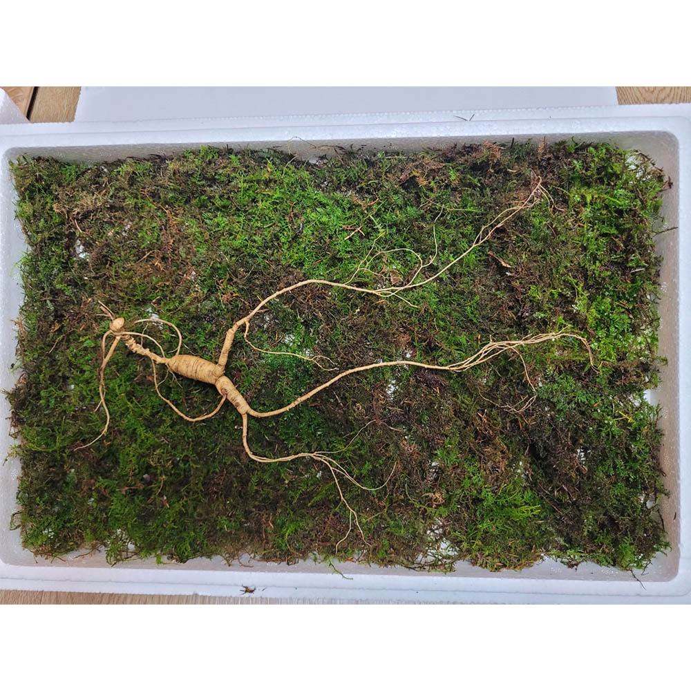 1672897304 thumbnail