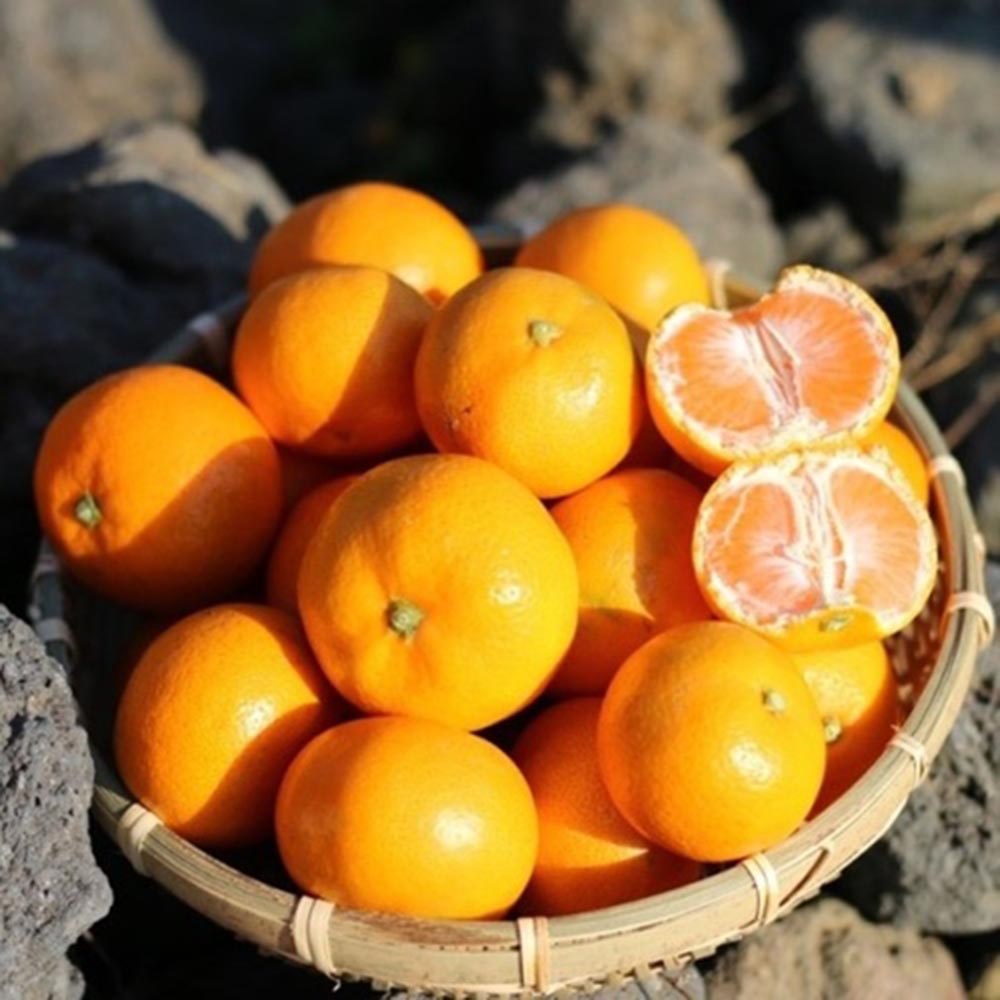 1672995337 thumbnail