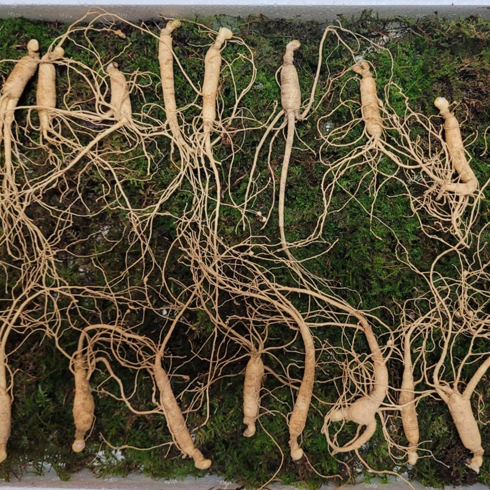 1673319209 thumbnail