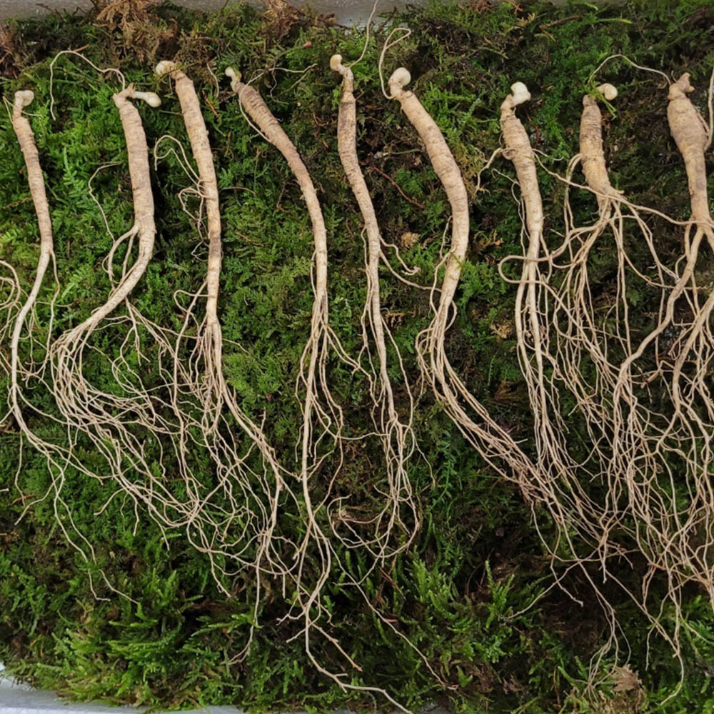 1673319210 thumbnail