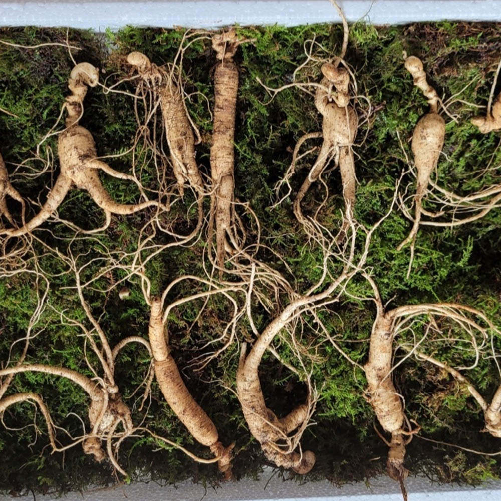 1673319211 thumbnail